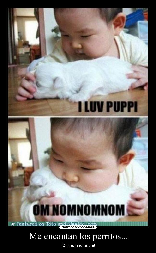 Me encantan los perritos... -