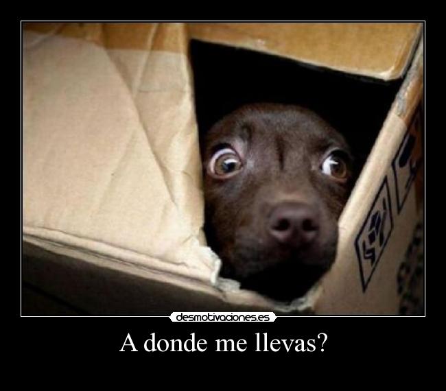 A donde me llevas? - 