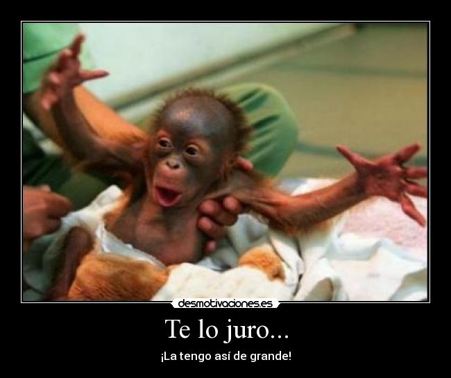 Te lo juro... - ¡La tengo así de grande!