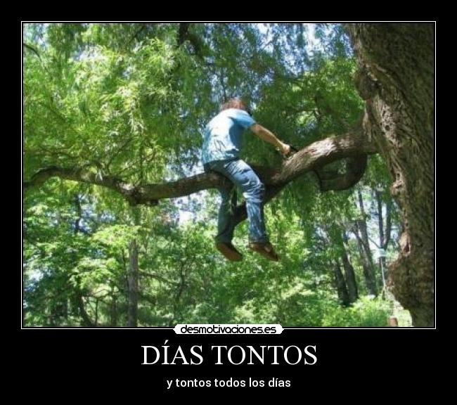 DÍAS TONTOS - 