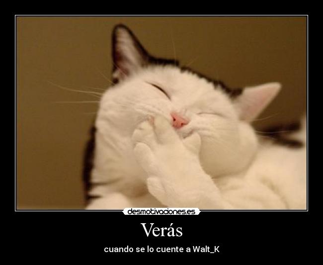 carteles gato desmotivaciones