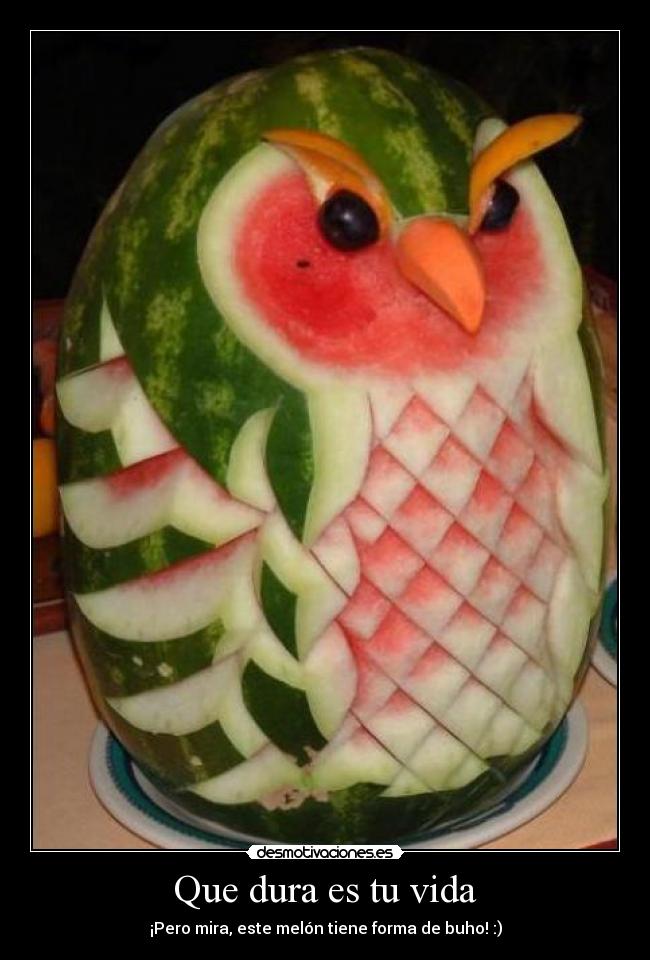 Que dura es tu vida - ¡Pero mira, este melón tiene forma de buho! :)