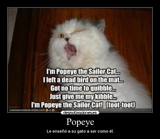 Popeye - Le enseñó a su gato a ser como él.