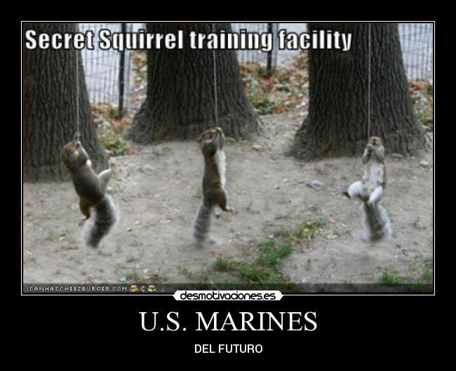 U.S. MARINES -