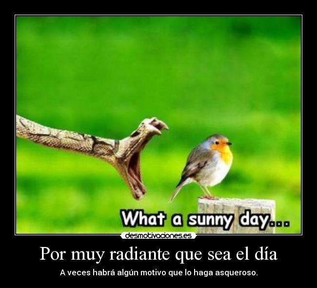 Por muy radiante que sea el día - 