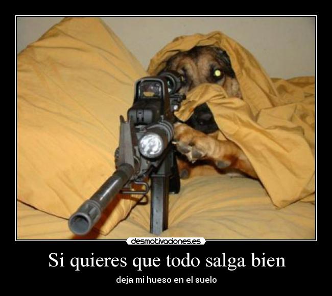 Si quieres que todo salga bien -