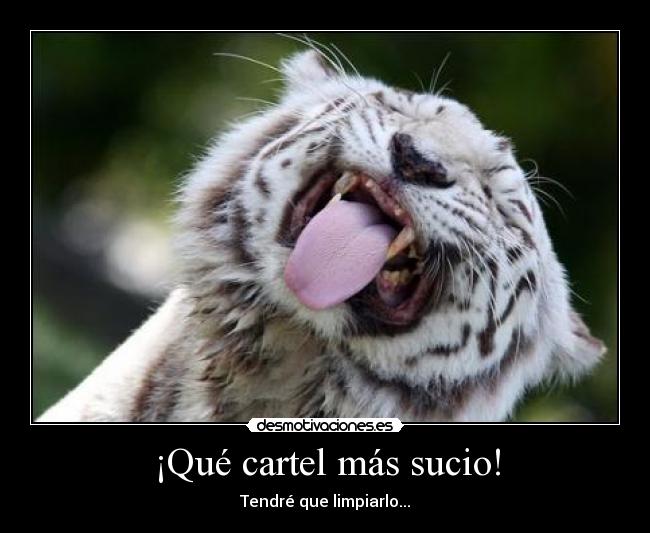 ¡Qué cartel más sucio! - Tendré que limpiarlo...