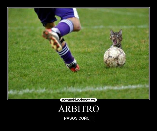 ARBITRO - PASOS COÑO¡¡¡¡
