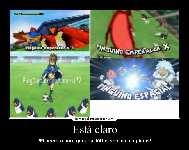 Está claro - !El secreto para ganar al fútbol son los pingüinos!