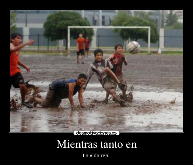 carteles mientras tanto vida real desmotivaciones