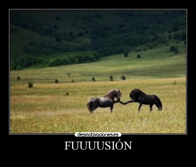FUUUUSIÓN -
