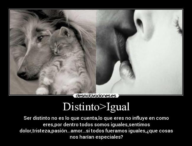 Distinto>Igual - Ser distinto no es lo que cuenta,lo que eres no influye en como
eres,por dentro todos somos iguales,sentimos
dolor,tristeza,pasión...amor...si todos fueramos iguales,¿que cosas
nos harían especiales?