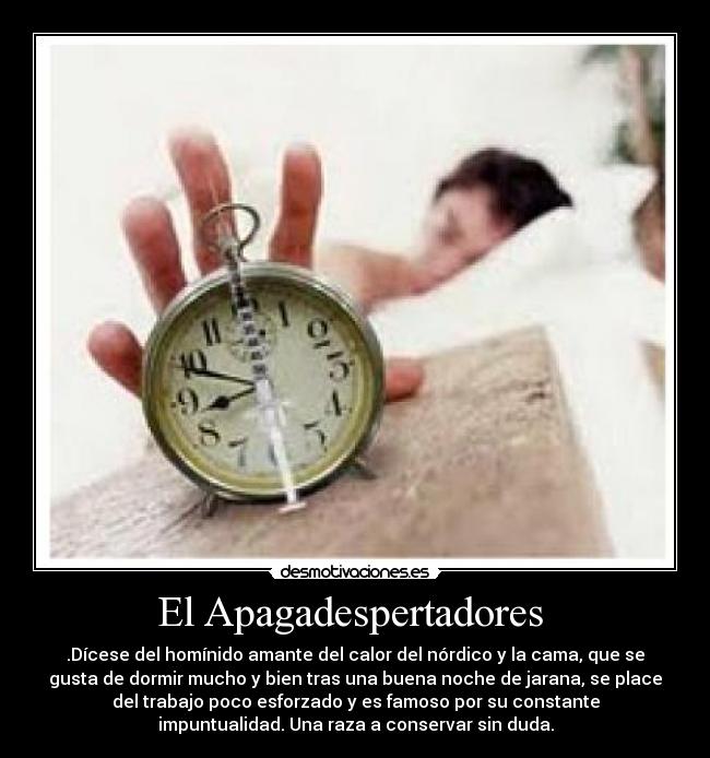 El Apagadespertadores  - .Dícese del homínido amante del calor del nórdico y la cama, que se
gusta de dormir mucho y bien tras una buena noche de jarana, se place
del trabajo poco esforzado y es famoso por su constante
impuntualidad. Una raza a conservar sin duda.