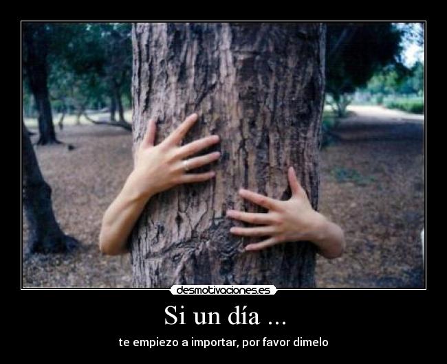 Si un día ... -