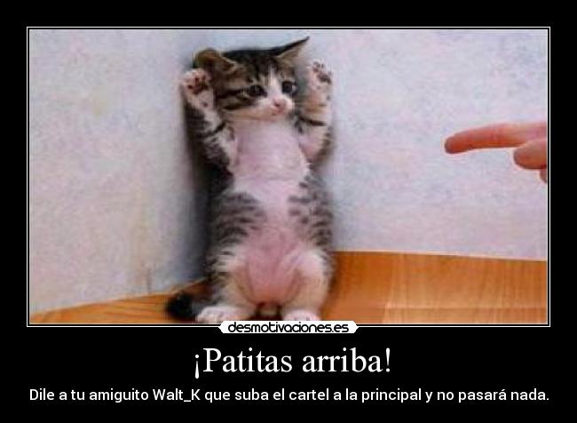 ¡Patitas arriba! - Dile a tu amiguito Walt_K que suba el cartel a la principal y no pasará nada.