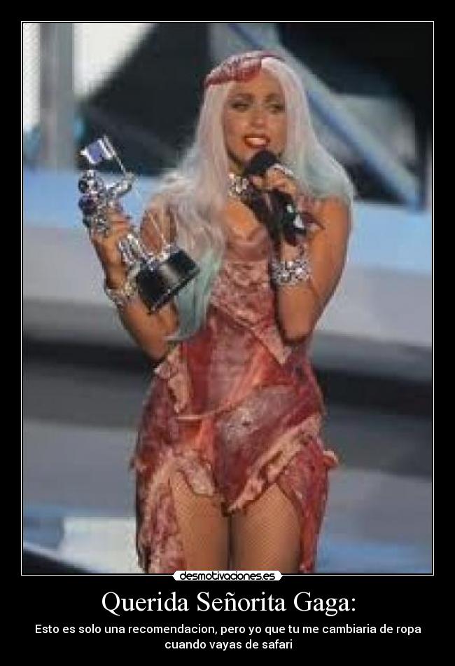 carteles querida senorita gaga desmotivaciones