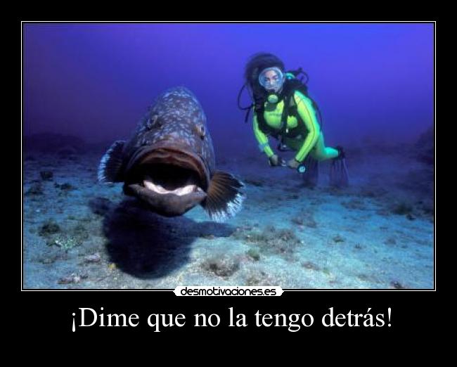 ¡Dime que no la tengo detrás! -
