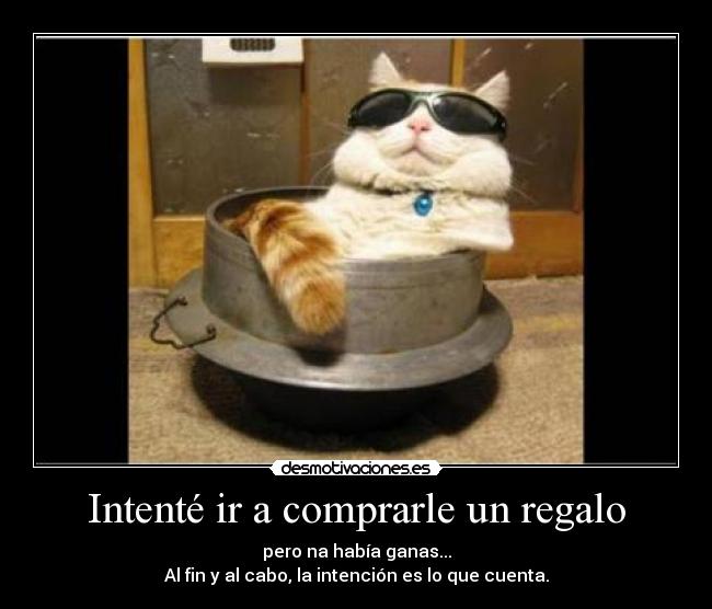 Intenté ir a comprarle un regalo -