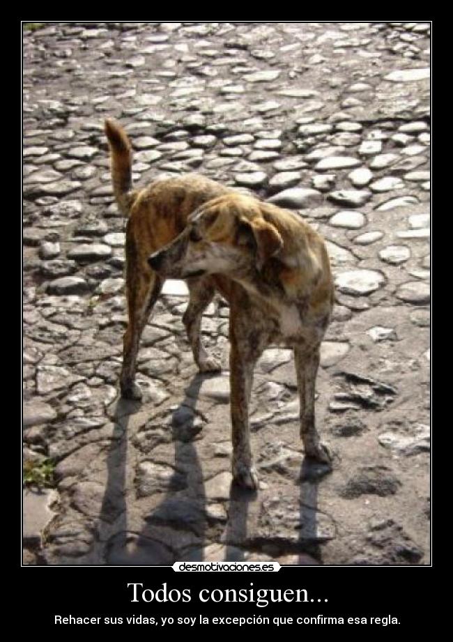 Todos consiguen... - Rehacer sus vidas, yo soy la excepción que confirma esa regla.