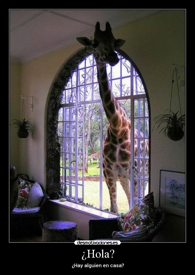 ¿Hola? - ¿Hay alguien en casa?