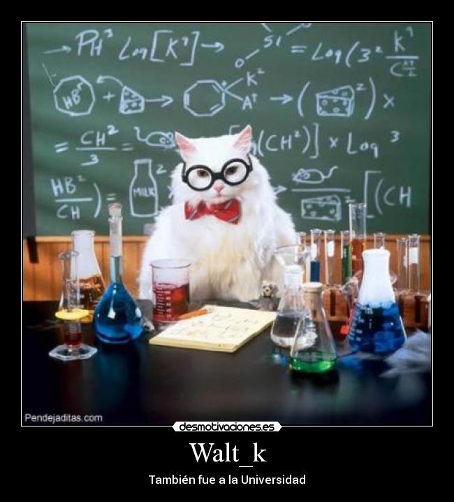 Walt_k -