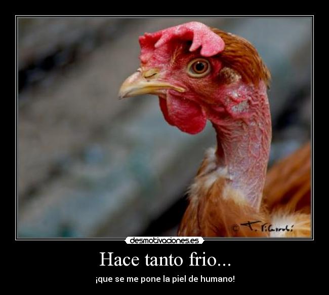 Hace tanto frio... - ¡que se me pone la piel de humano!
