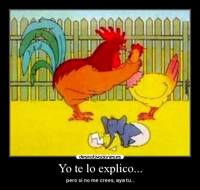 carteles infidelidad amor explicar amor crees gallina animal gallo elefante gracioso mejor desmotivaciones