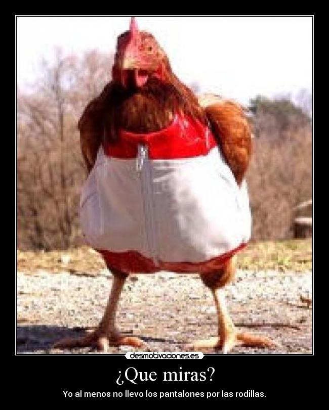 ¿Que miras? - Yo al menos no llevo los pantalones por las rodillas.