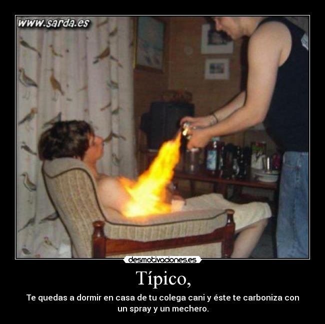 Típico, - Te quedas a dormir en casa de tu colega cani y éste te carboniza con
un spray y un mechero.