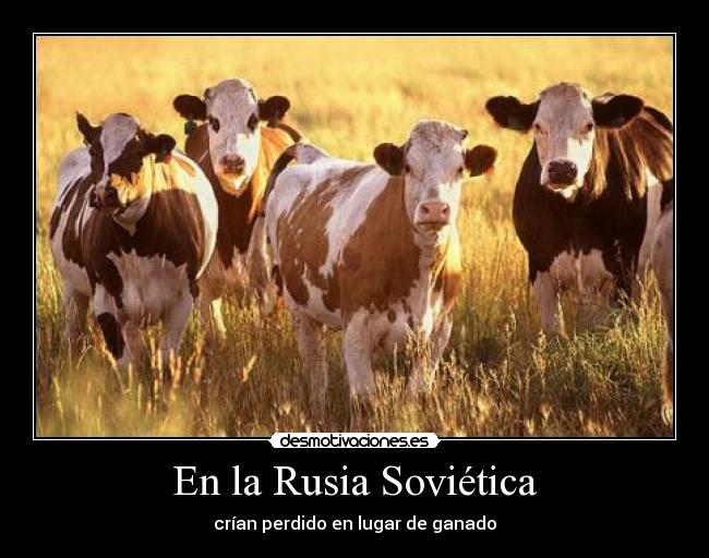 carteles rusia sovietica perdido ganado desmotivaciones
