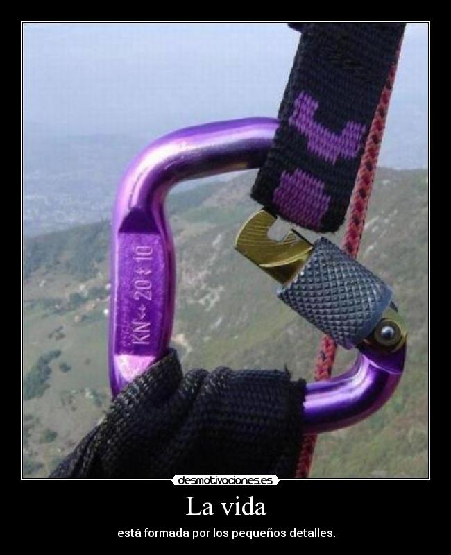 La vida - está formada por los pequeños detalles.