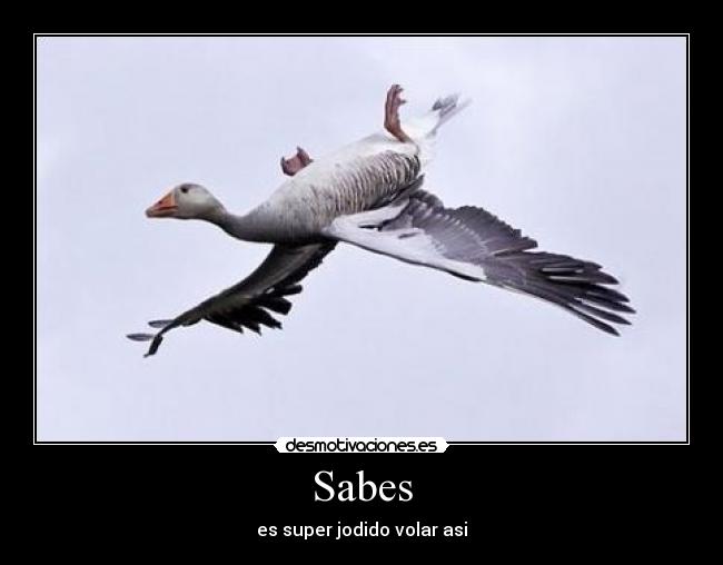 Sabes - es super jodido volar asi