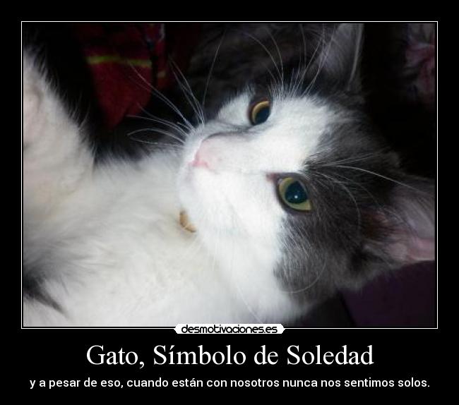 Gato, Símbolo de Soledad - y a pesar de eso, cuando están con nosotros nunca nos sentimos solos.