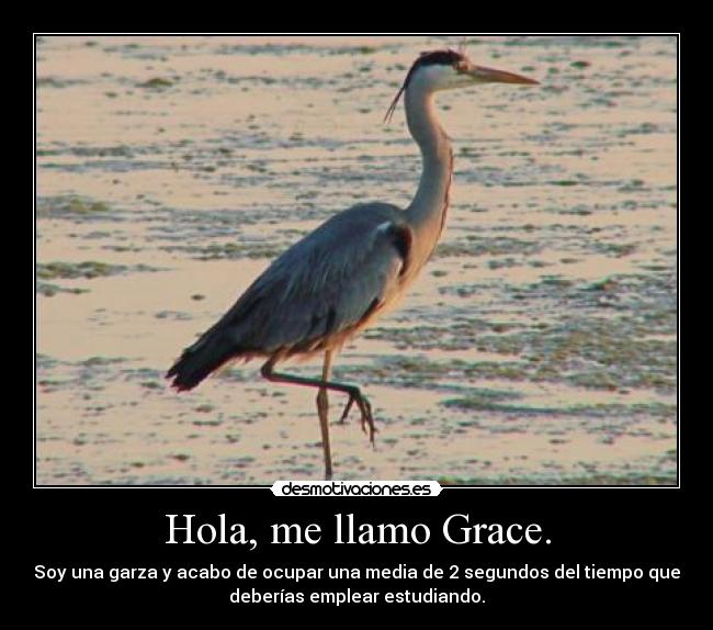 Hola, me llamo Grace. -