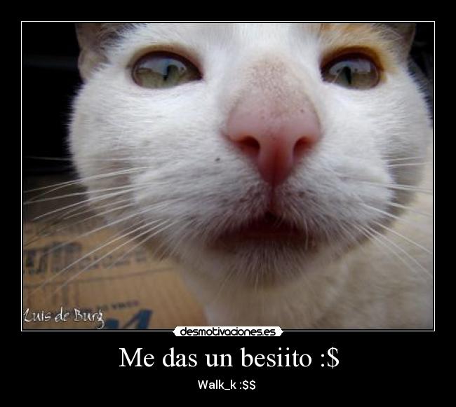 Me das un besiito :$ - Walk_k :$$