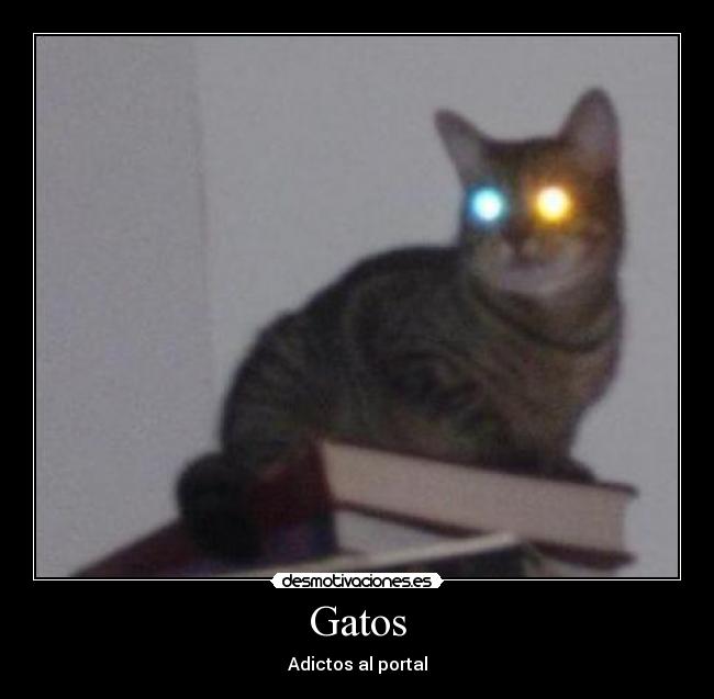 carteles gatos desmotivaciones