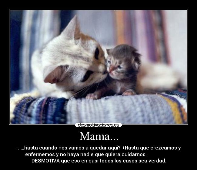 carteles lalalal desmotivaciones