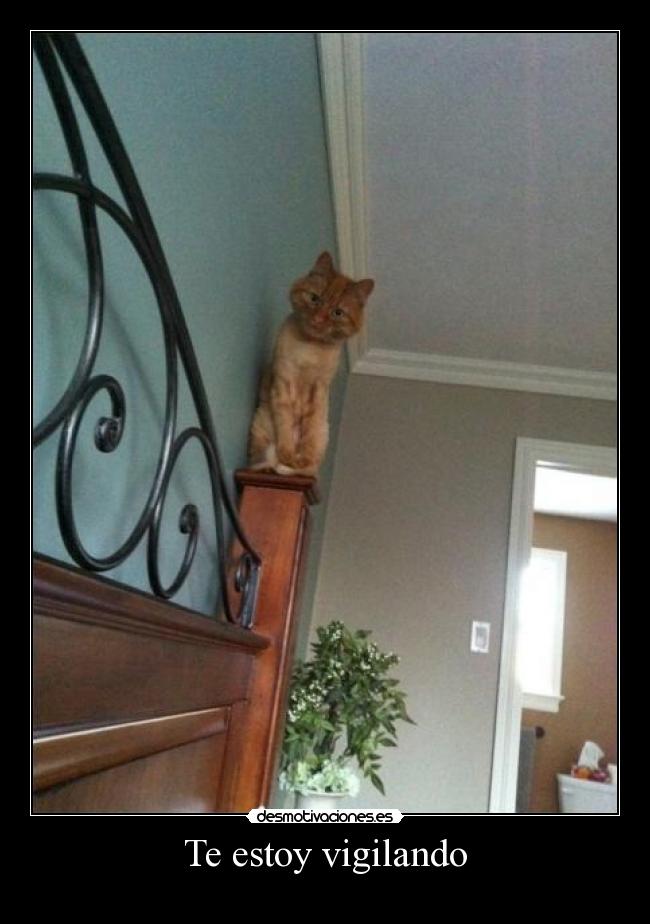Te estoy vigilando - 