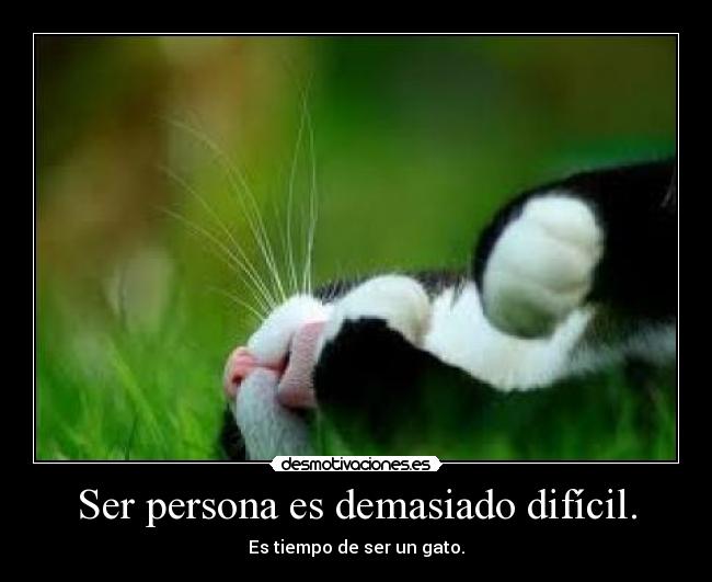 Ser persona es demasiado difícil. - Es tiempo de ser un gato.