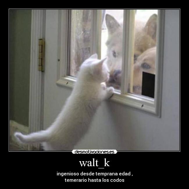 walt_k - ingenioso desde temprana edad ,
temerario hasta los codos