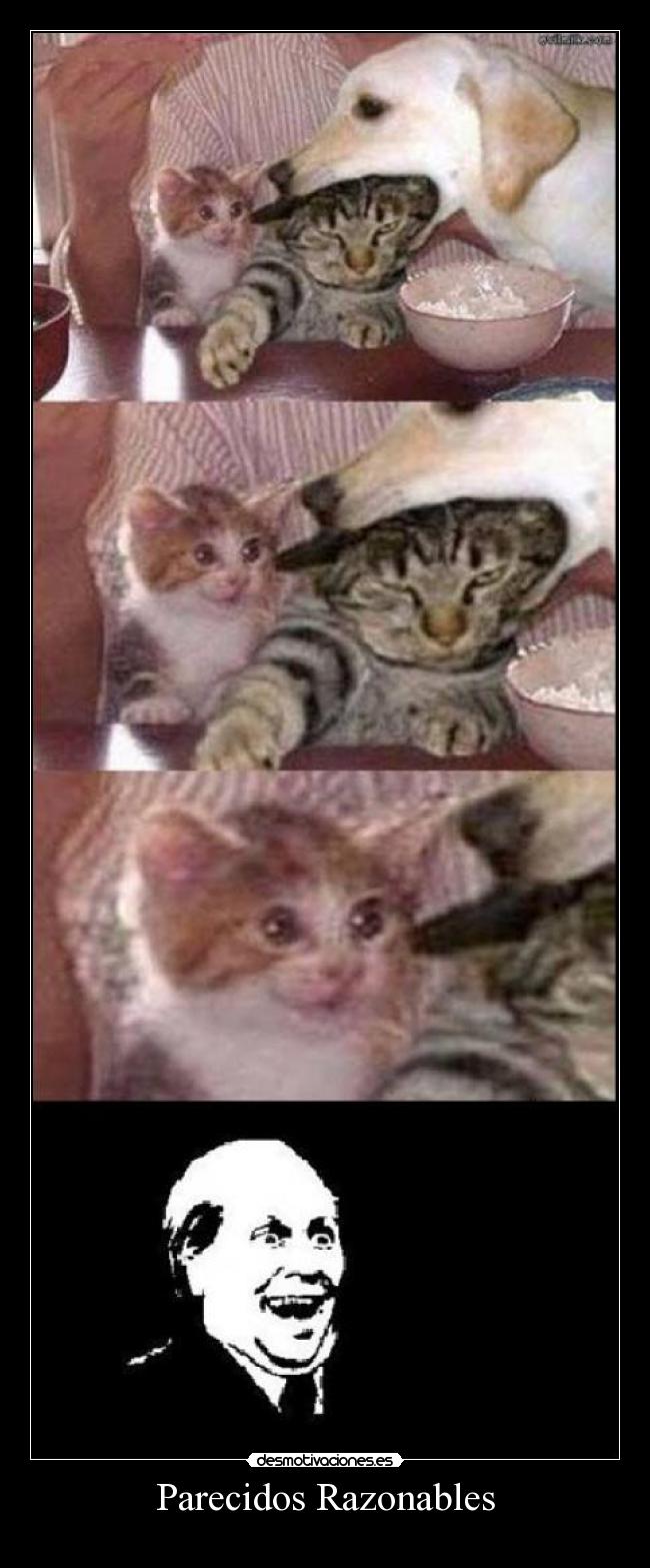 Parecidos Razonables -