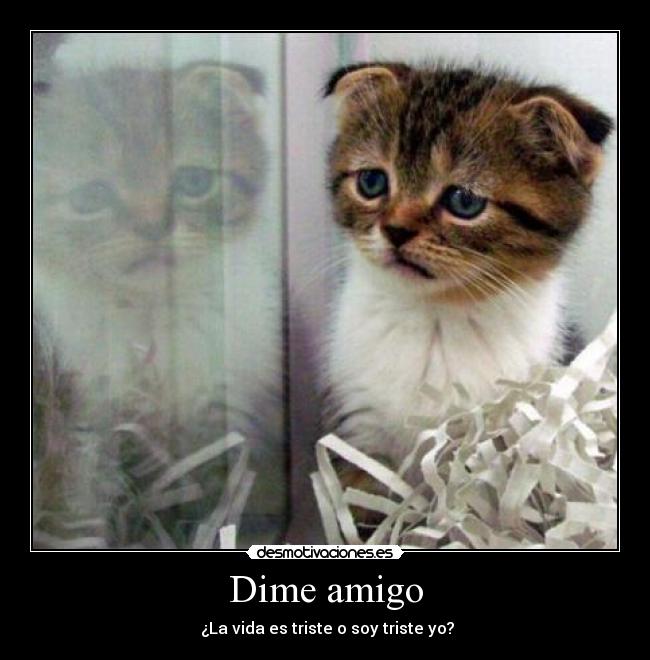 Dime amigo - ¿La vida es triste o soy triste yo?