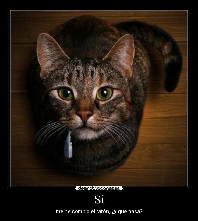 Si - me he comido el ratón, ¿y que pasa?