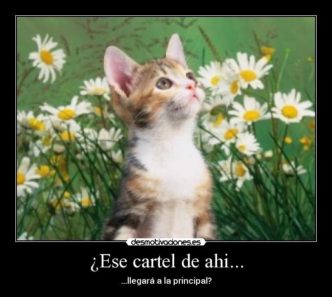 ¿Ese cartel de ahi... - ...llegará a la principal?