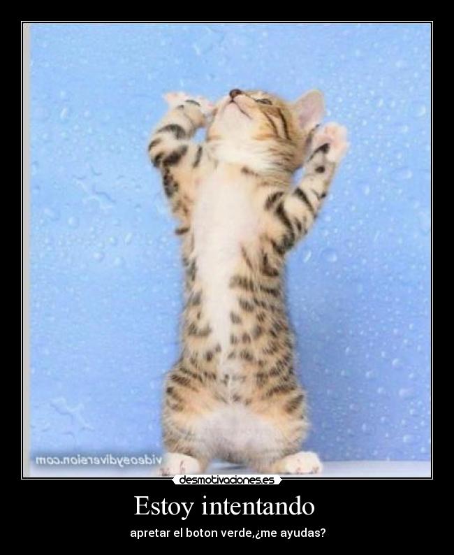 Estoy intentando - apretar el boton verde,¿me ayudas?