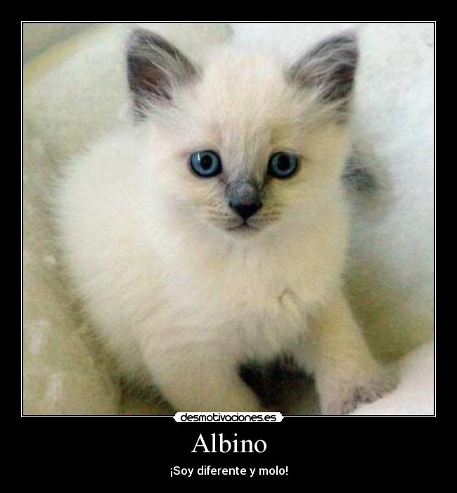 Albino - ¡Soy diferente y molo!