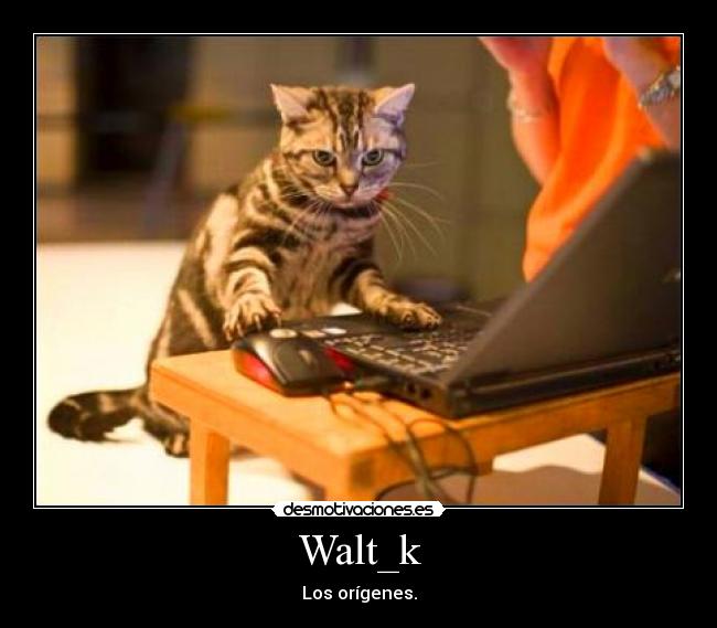 Walt_k -