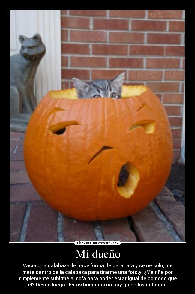Mi dueño -