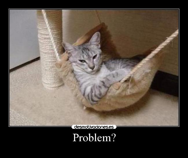 carteles gatos comodos desmotivaciones