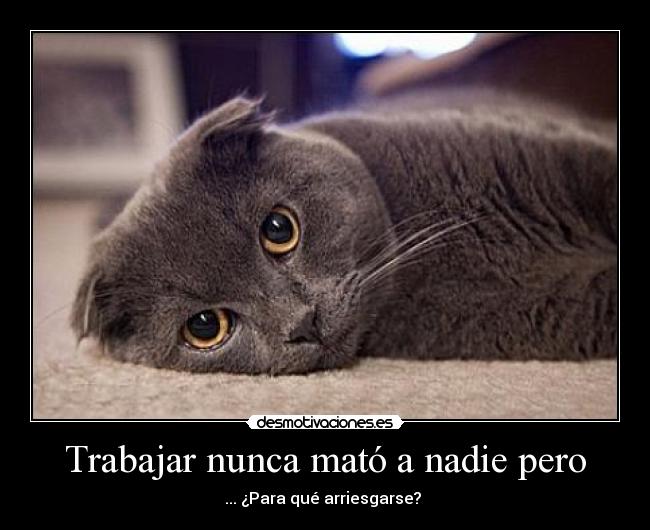 Trabajar nunca mató a nadie pero - ... ¿Para qué arriesgarse?
